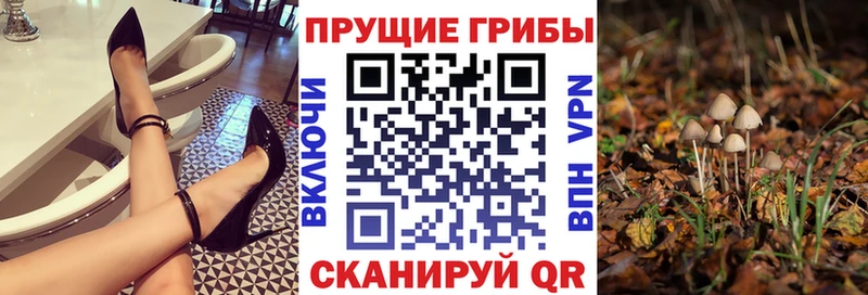 Псилоцибиновые грибы мухоморы  Саранск 